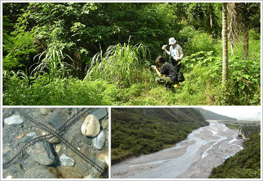 Environment: Geo-Environmental Technology