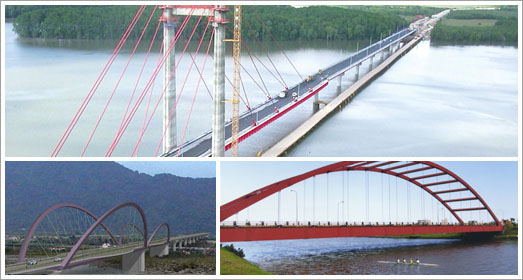 Infrastructures: Bridges and Viaducts